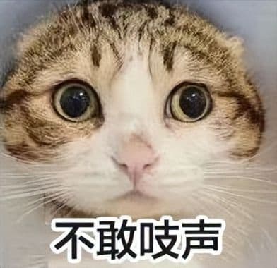 养生还是致癌？揭秘藏药“药王石”的神秘面纱！