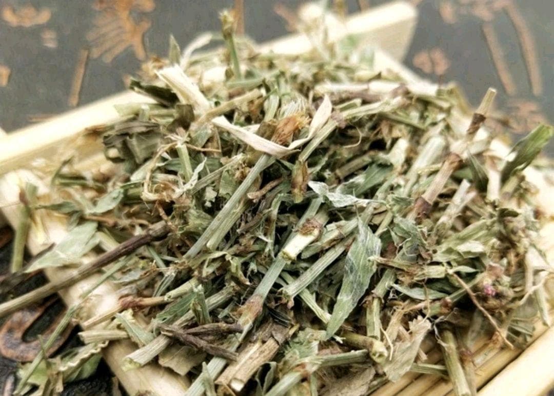 萹蓄：一种具有食用、药用价值的野生植物