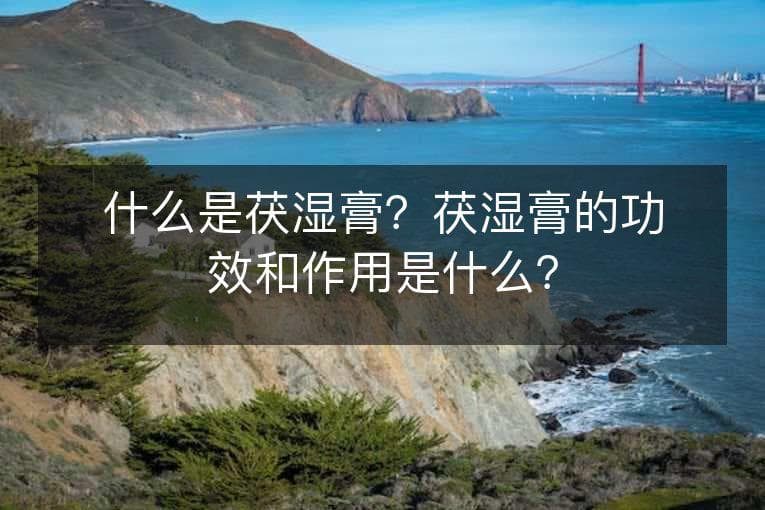 什么是茯湿膏？茯湿膏的功效和作用是什么？