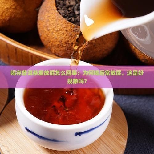 喝完普洱茶爱放屁怎么回事：为何喝后常放屁，这是好现象吗？