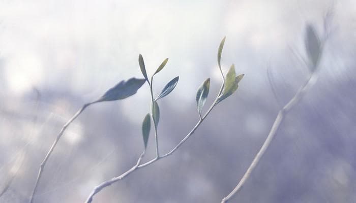 48Bin：程序员的"神奇储物柜"