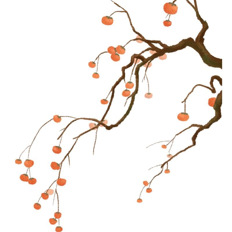 《芣苢》：古代劳动者的欢歌