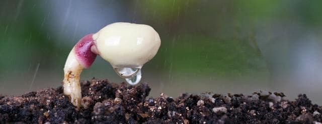 雨水节气到了，建议大家：少吃白菜和菠菜，多吃3样，清热祛湿