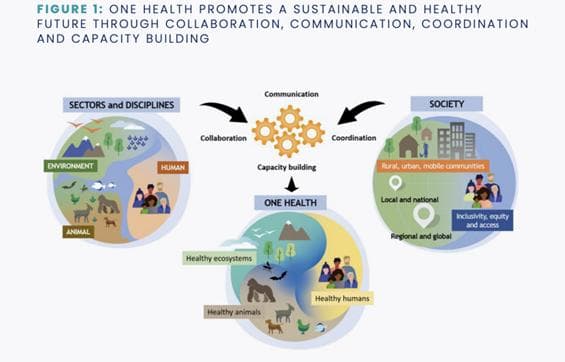 认识One Health「健康一体」发展史