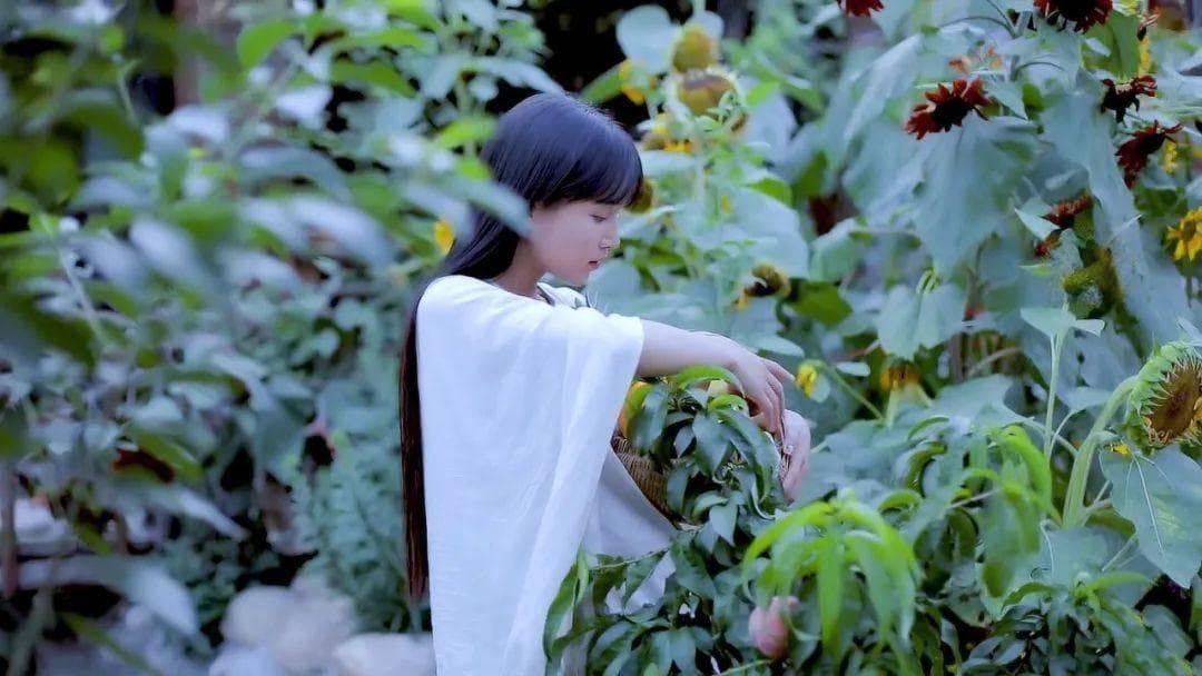 李子柒：用短视频让中国传统农耕文化走向世界