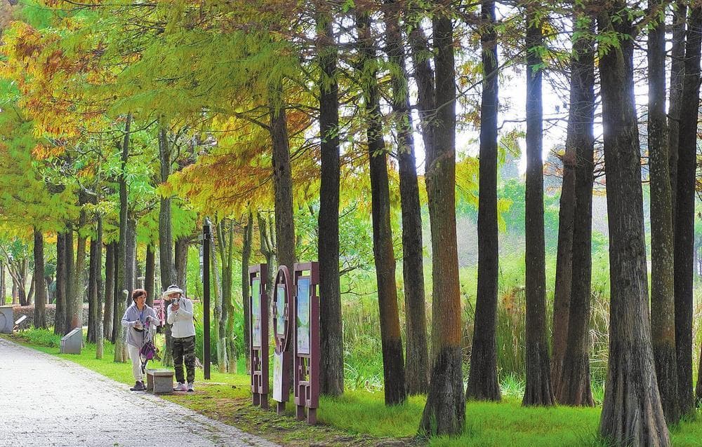普洱思茅区入选全国康养百强县，构建多元化旅居体系