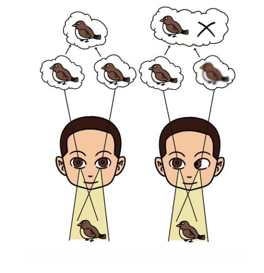 视力永久低下，甚至成为单眼视觉！