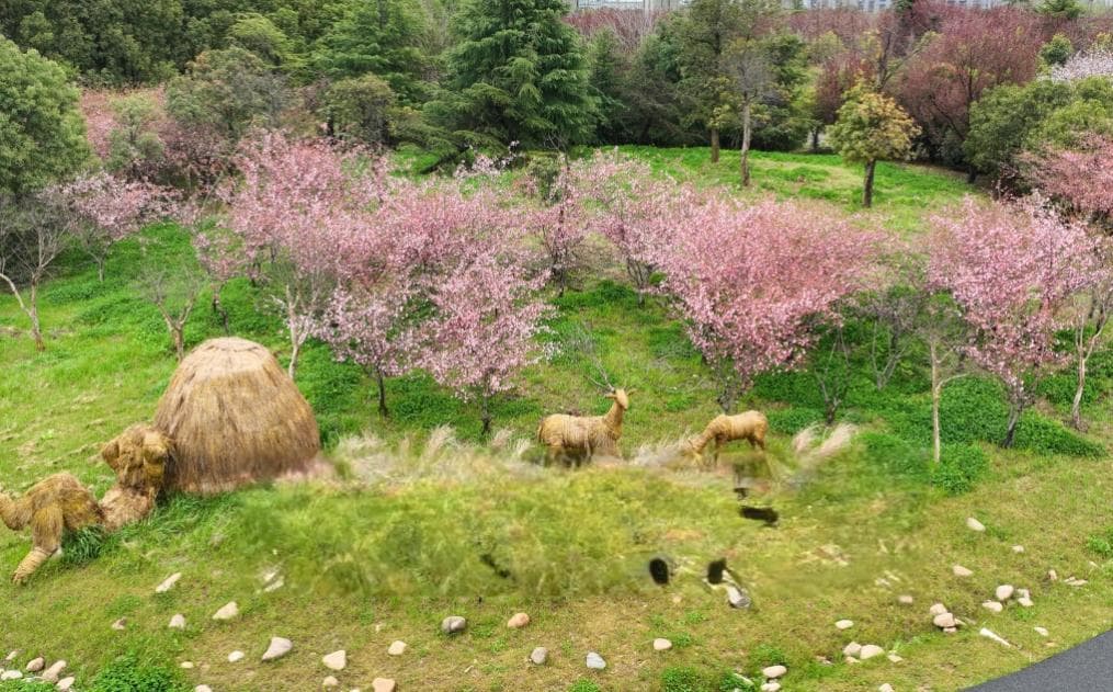 苏州“园区经验”公共文化篇|草鞋山：打造探源江南文化首选地