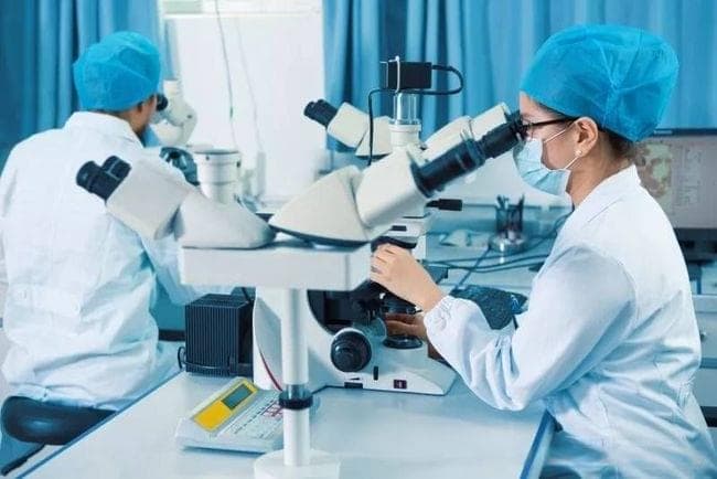NK细胞疗法：抗肿瘤的第一道防线？哪里打比较靠谱？