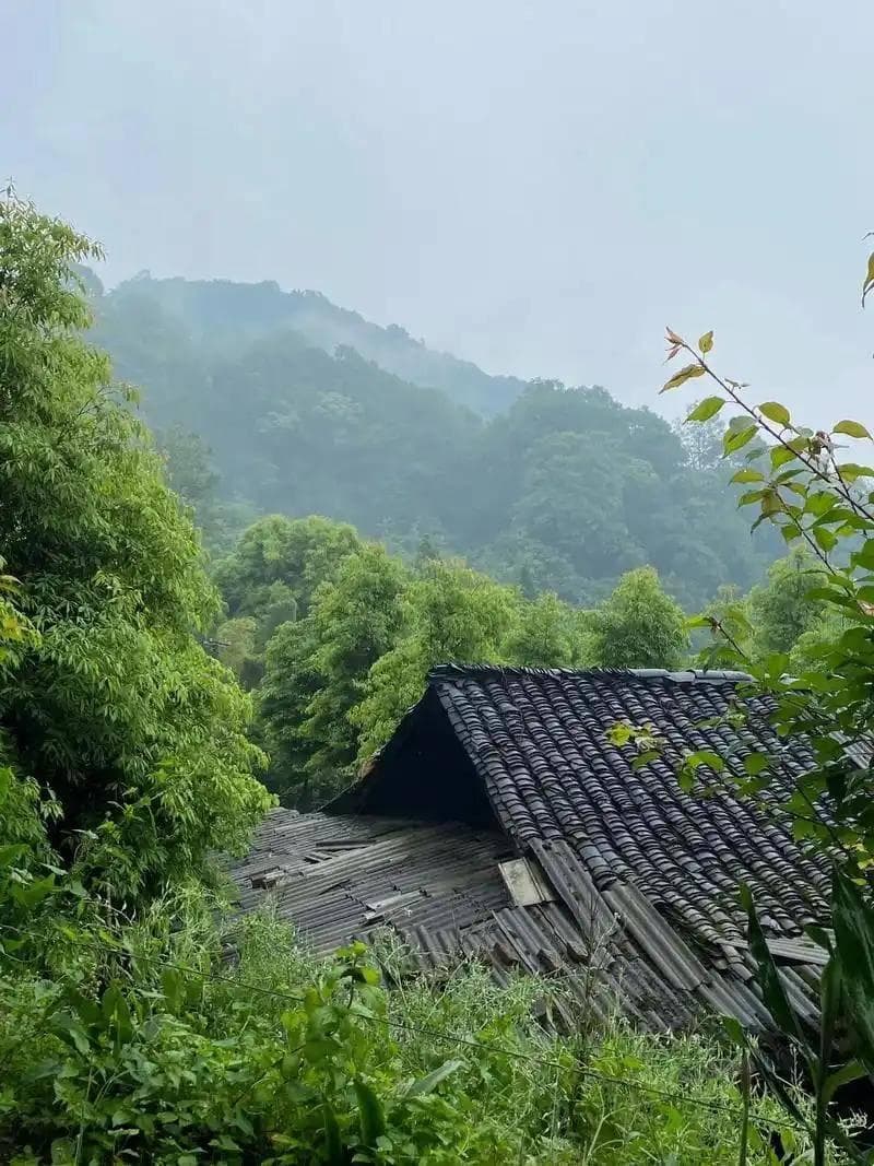 从辍学危机到企业管理层，吕文扬用知识改写人生