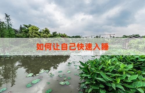 如何让自己快速入睡 实用技巧与策略