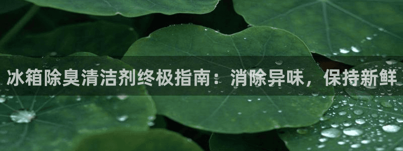 冰箱除臭清洁剂终极指南：消除异味，保持新鲜