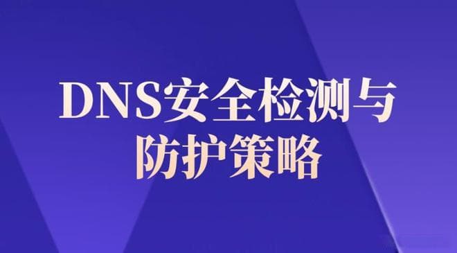 DNS安全检测与防护策略