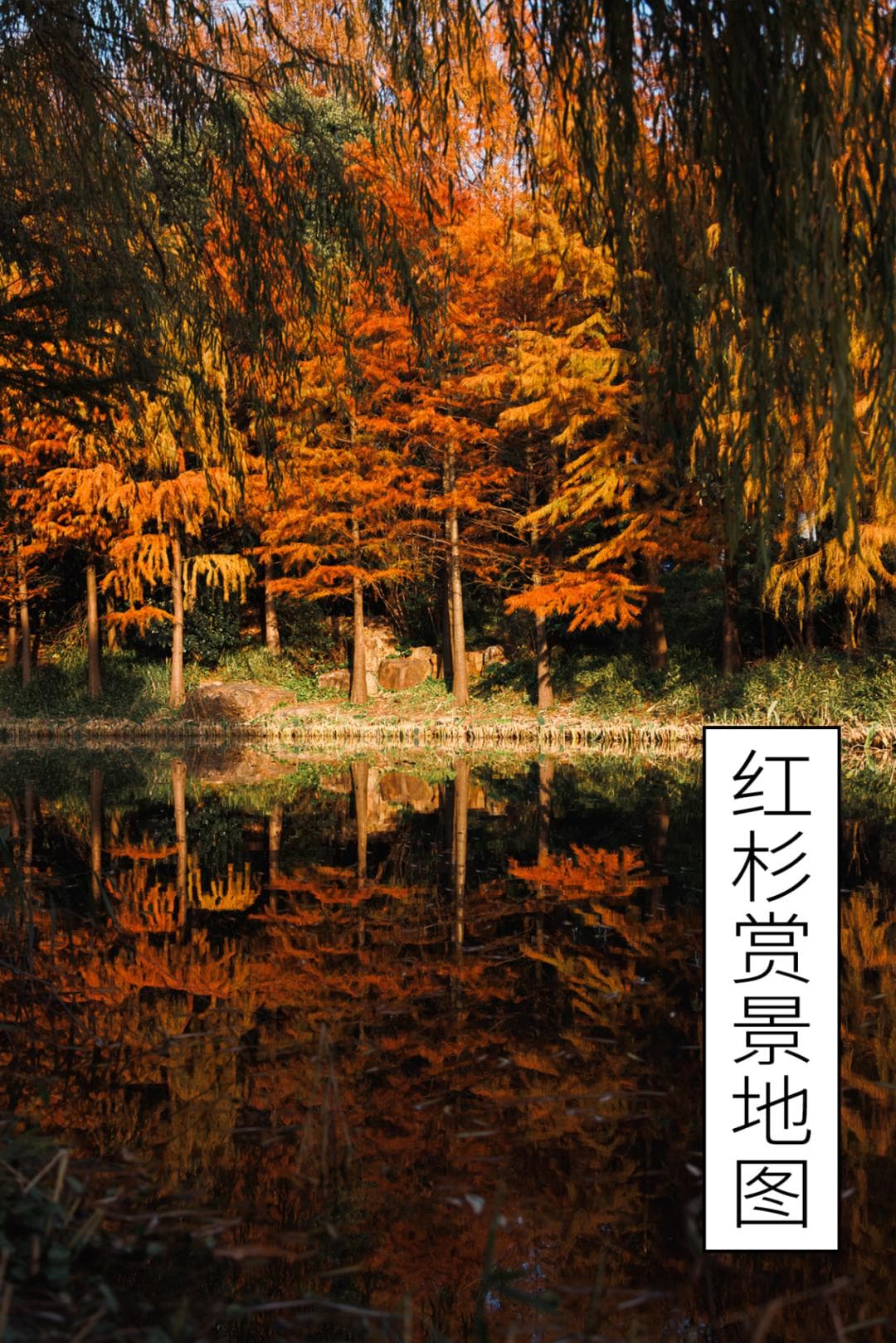 美拉德冬天，上海真有啊！