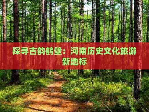 探寻古韵鹤壁：河南历史文化旅游新地标
