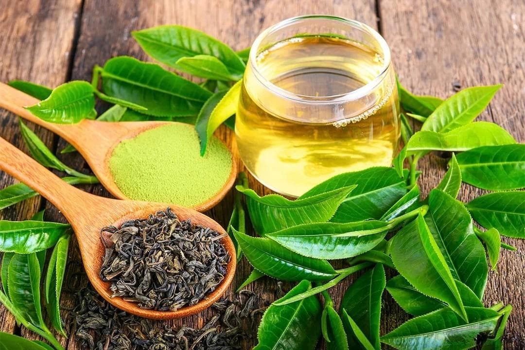 信阳毛尖：揭秘“绿茶之王”的前世今生