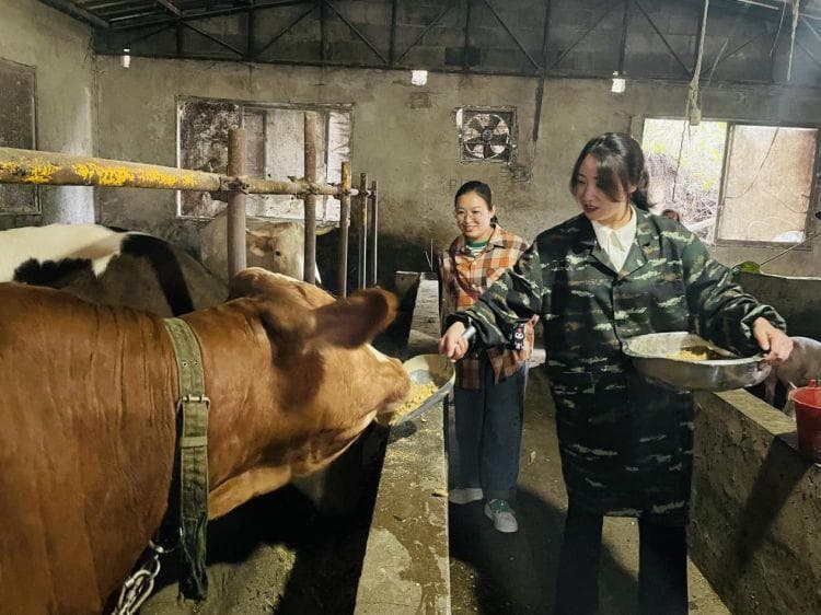 种养循环串出生态"致富链"