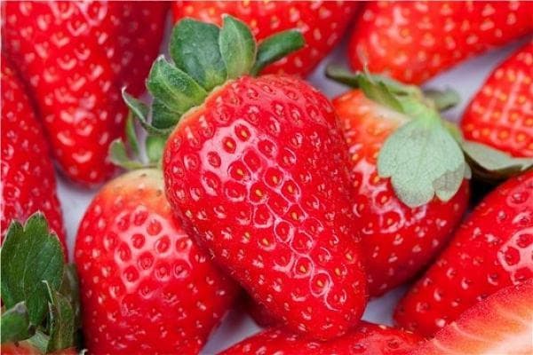 江团鱼食用指南：美味与安全的平衡