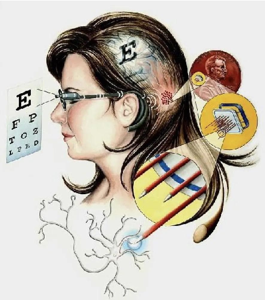 让盲人复明？马斯克官宣：盲视产品获FDA认证