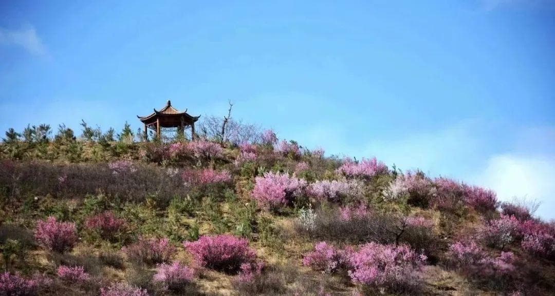 免票、奖励齐发，内蒙古春日文旅市场加速升温