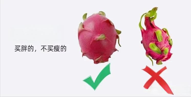 常见水果挑选小技巧，学会不当大冤种！