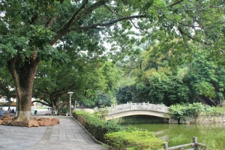 东莞六大免费公园全攻略：从生态绿肺到文化胜地