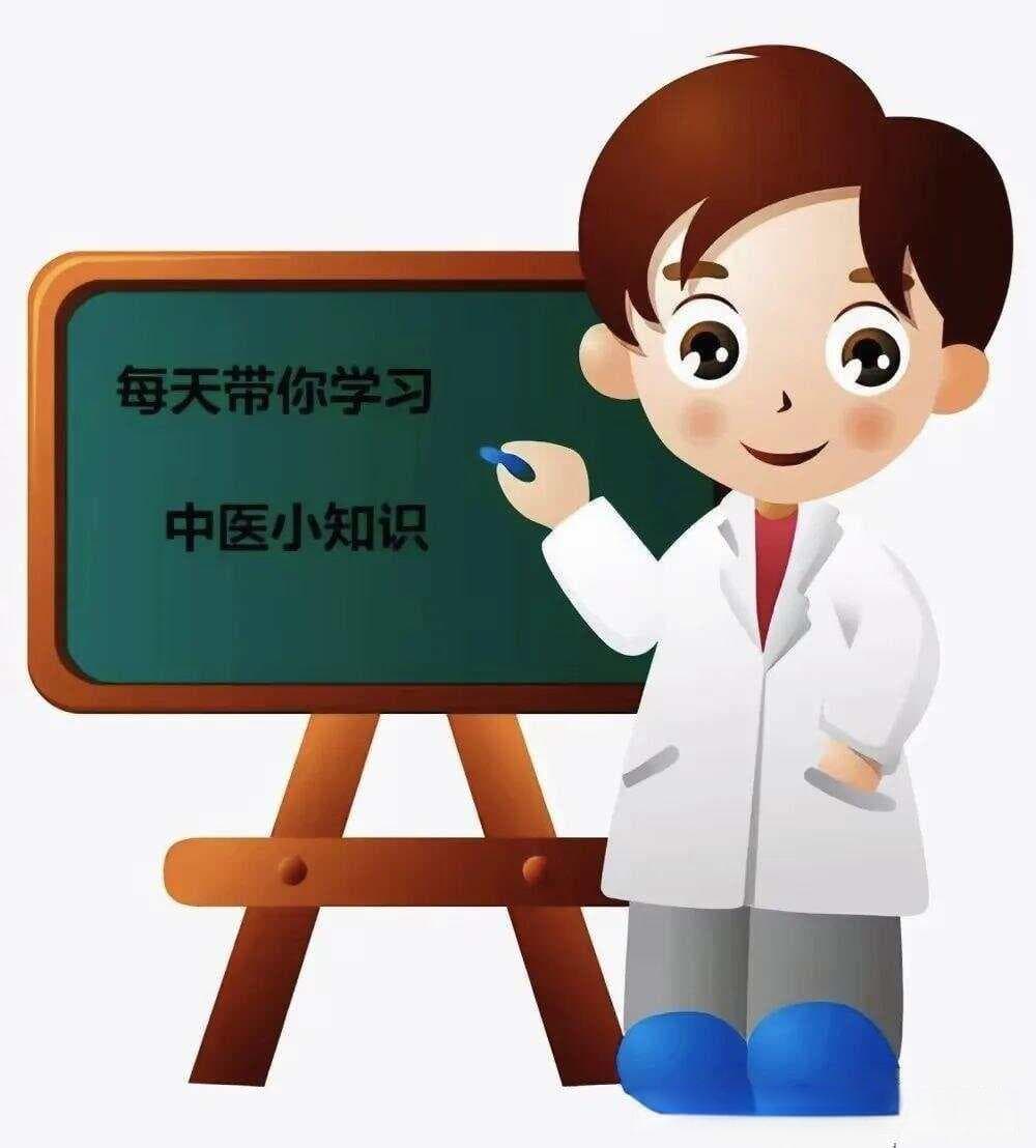 枳实和枳壳：同源不同效的中药详解