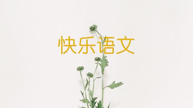 中考语文模拟作文4篇，含写作指导、范文和点评