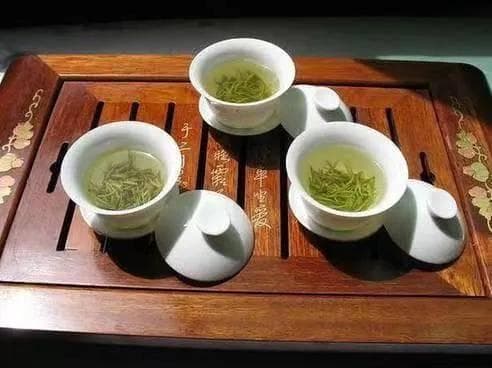 掌握这六个小细节，让你泡的狗牯脑茶更好喝