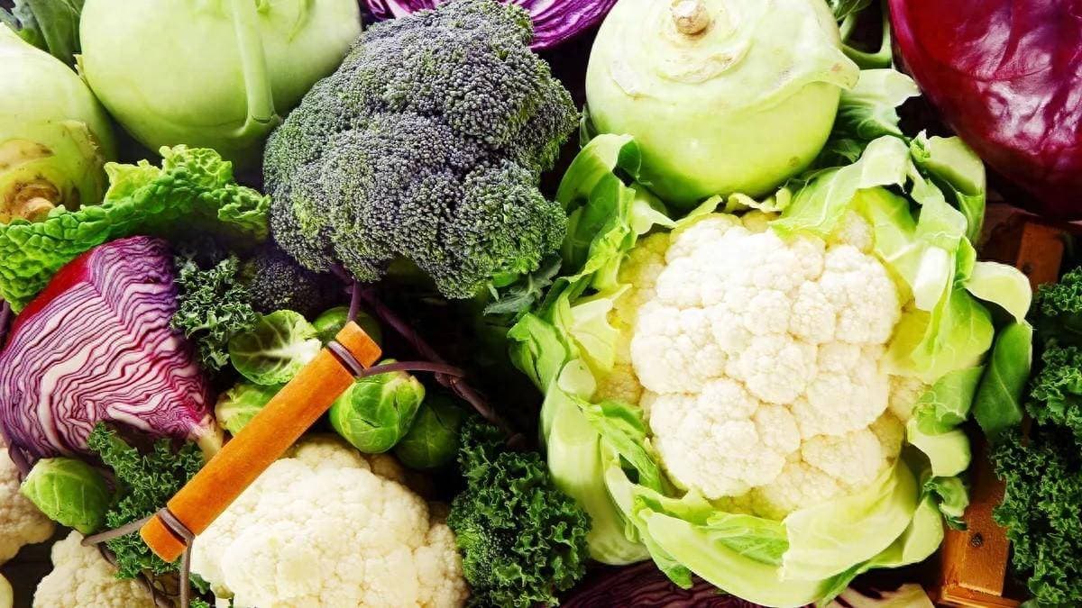 羽衣甘蓝、西兰花和球芽甘蓝真的是同一种植物吗？