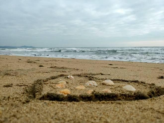惠州双月湾旅游攻略：交通方式、景点特色与注意事项全解析