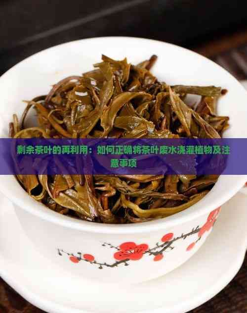 剩余茶叶的再利用：如何正确将茶叶废水浇灌植物及注意事项