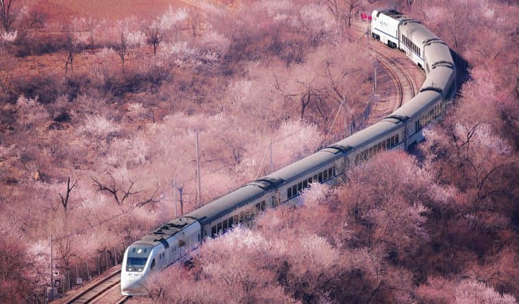 北京居庸关花海小火车乘坐攻略（时间+票价+位置）
