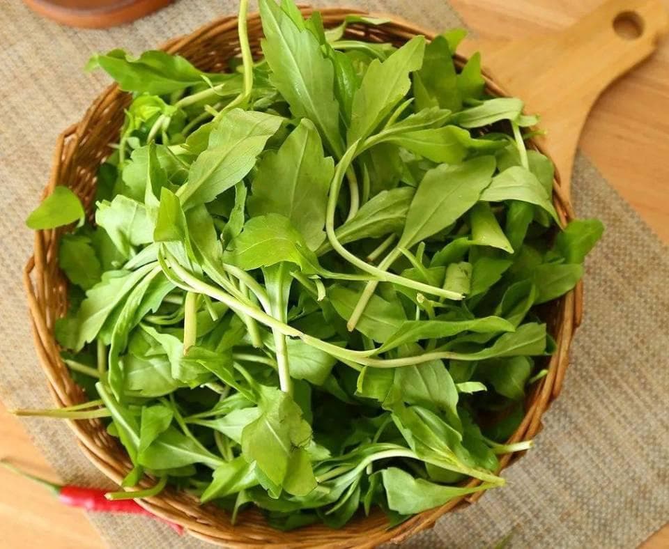 北京市疾控中心发布：荠菜这样吃才安全