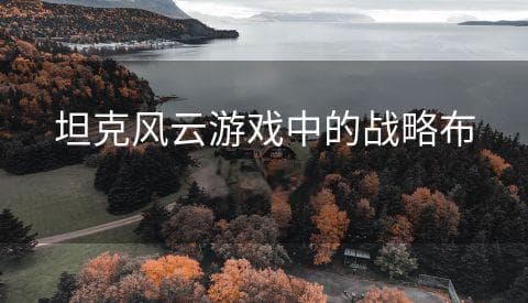 玩转坦克风云：资源、战术、技巧全方位攻略