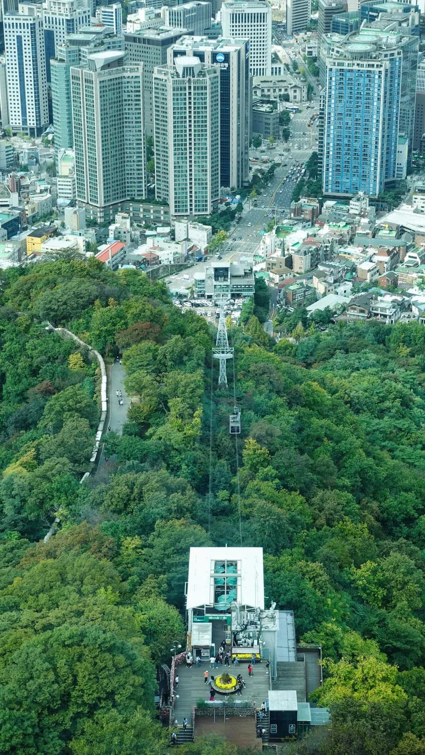 岳麓山新索道：云中漫步尽览长沙美