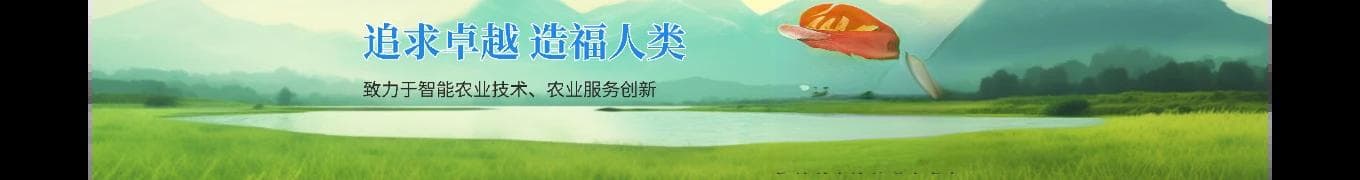 新手养花必知：花盆选择全攻略 | 各类花盆优缺点大揭秘