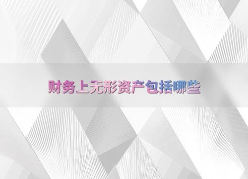 财务上无形资产包括哪些