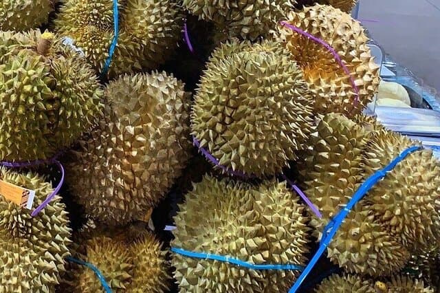 泰国榴莲有哪些品种 泰国榴莲几月份成熟上市