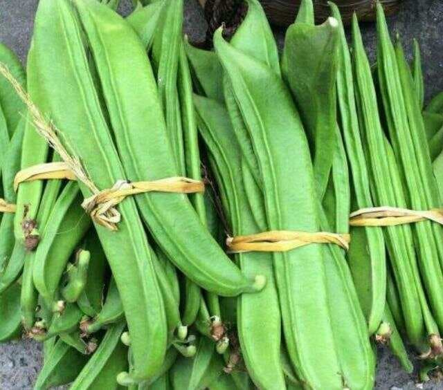 豇豆、四季豆、扁豆、刀豆……带你认识和分清“豆角家族”