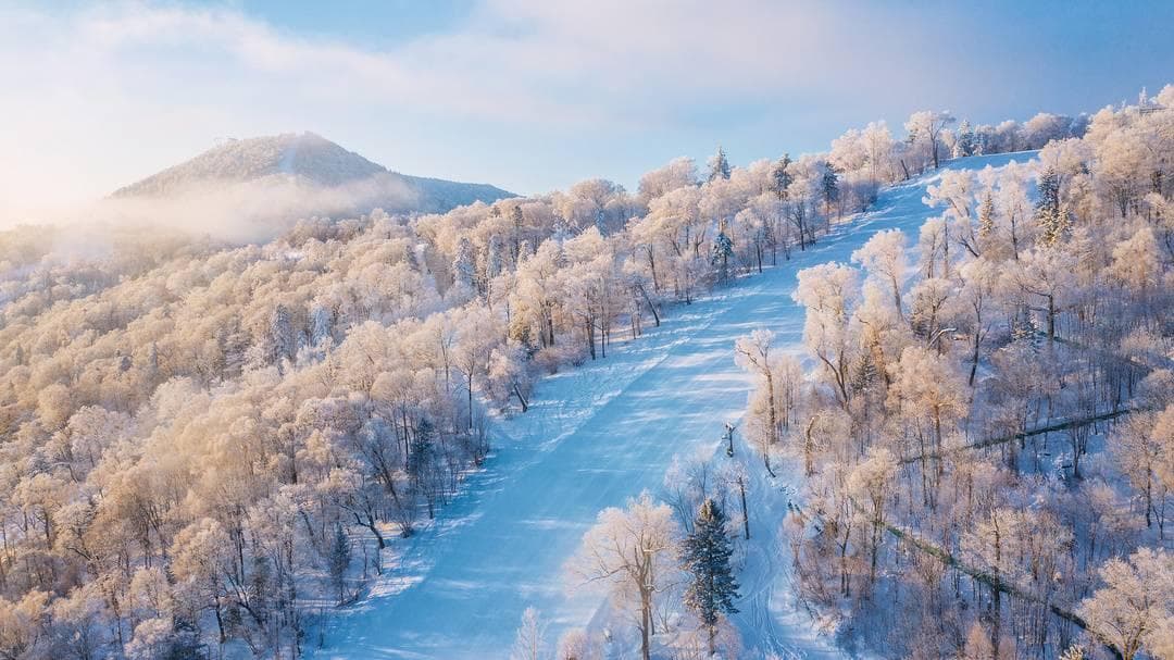 大雪·万物冬藏待春归 赏一场画中飞雪
