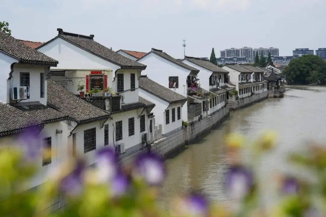 中国古镇看嘉兴丨王店：千年梅里长水穿，宝藏小镇万象新