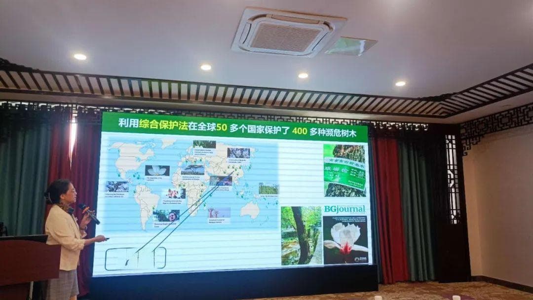 携手中国树木保护，共筑珍稀濒危植物方舟
