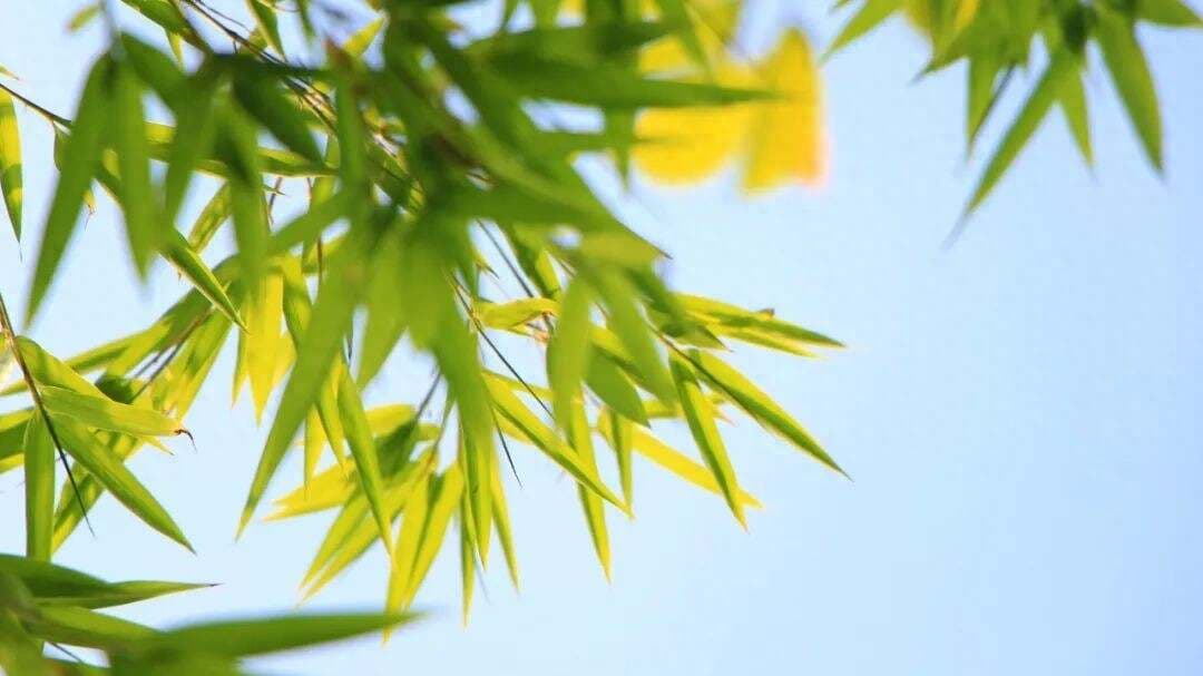10首宽心诗，愿你人生不再烦恼