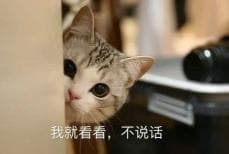 孩子有点“内向”，怎么就是自闭症了？自闭症五大常见表现→