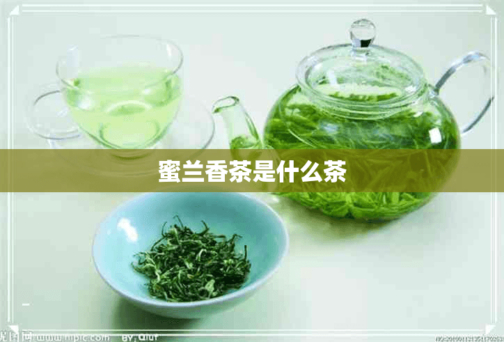 蜜兰香茶：融合蜂蜜与兰花香气的半发酵乌龙茶