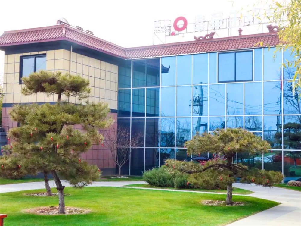 探秘“乡土植物”冬天的绿色坚守与生态智慧