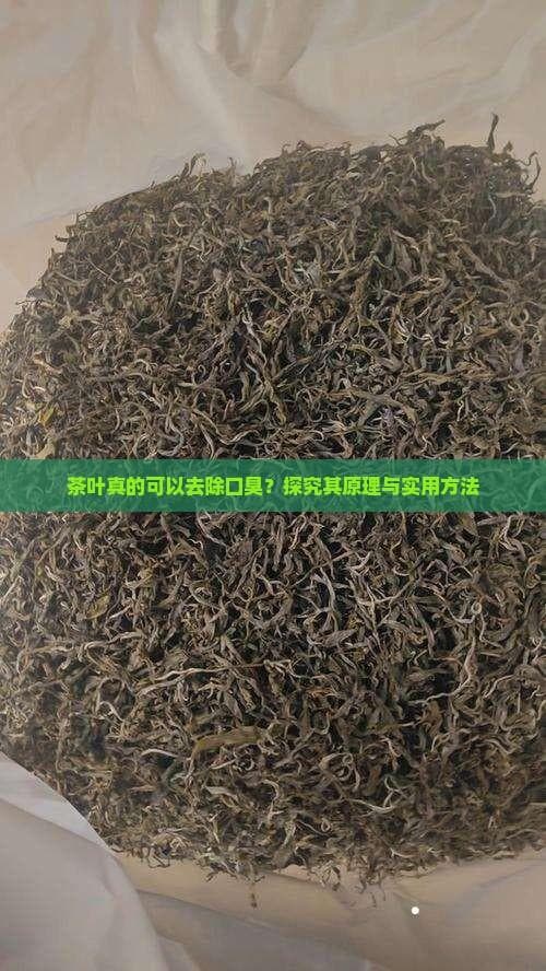 茶叶真的可以去除口臭？探究其原理与实用方法