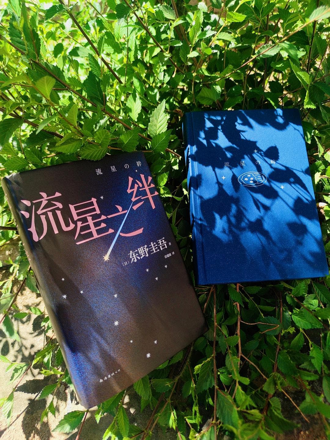 那场被流星雨改变了的命运，星星眼泪的救赎