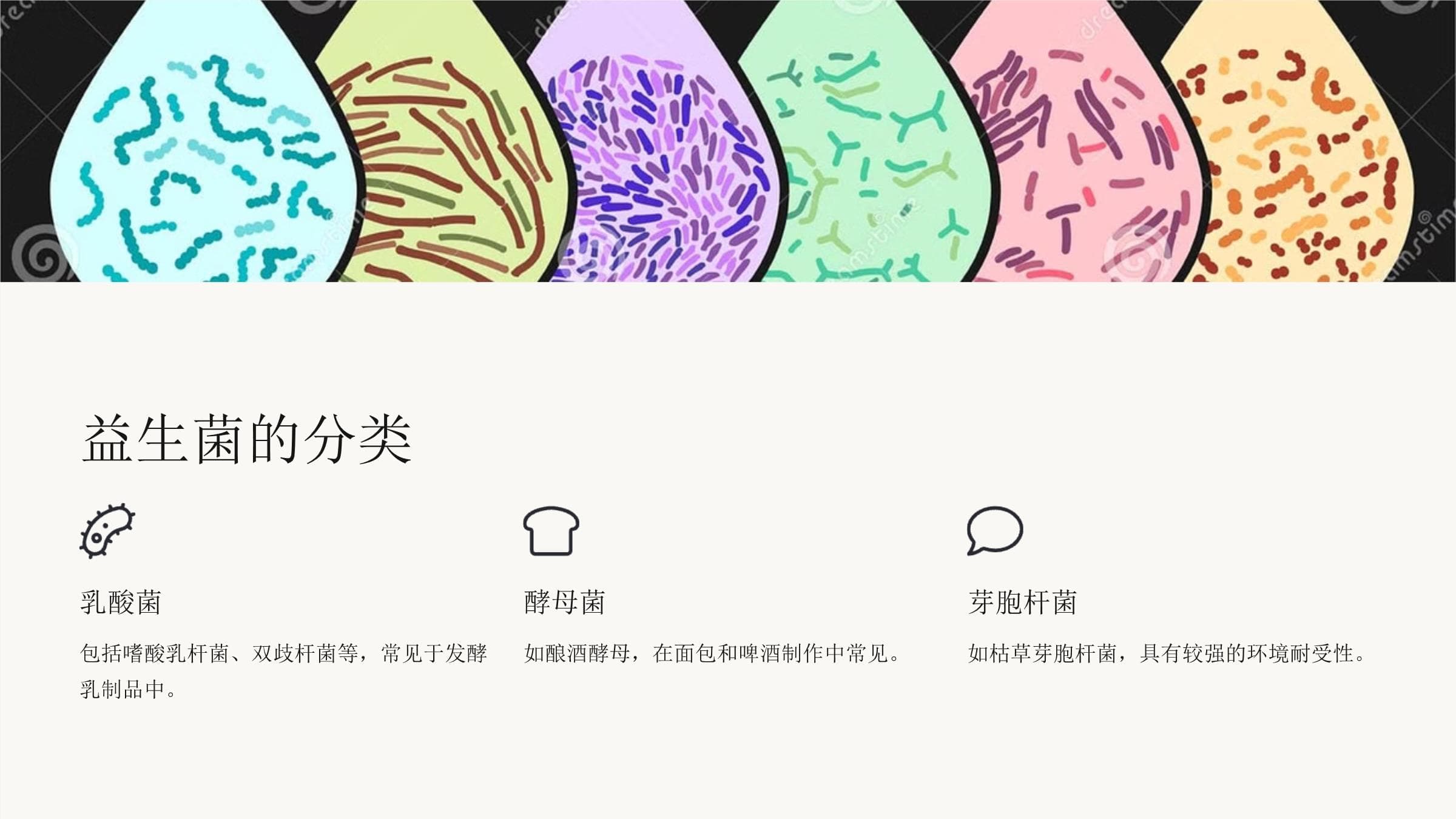 《益生菌知识介绍》课件